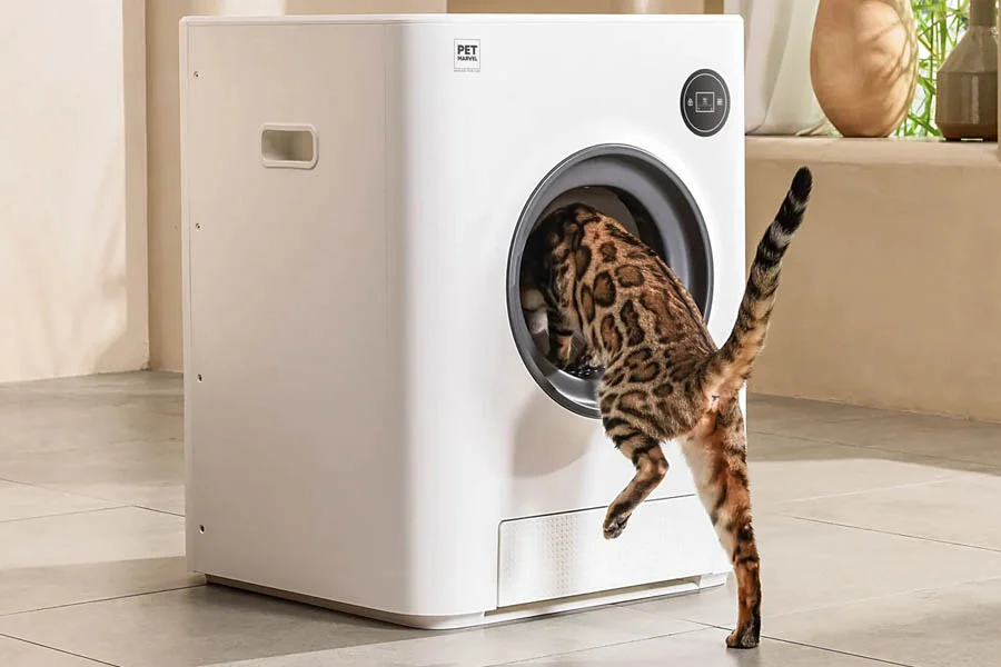 best cat litter robot