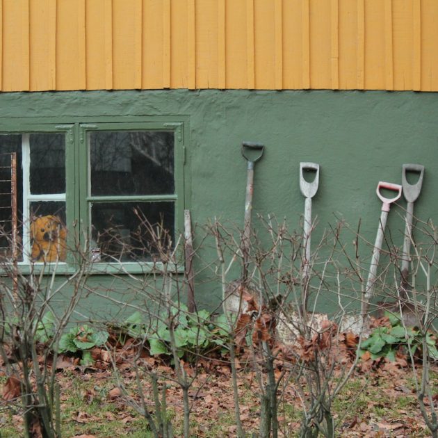 Home, Garden & Tools